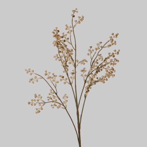 غصن تنسيق بيج