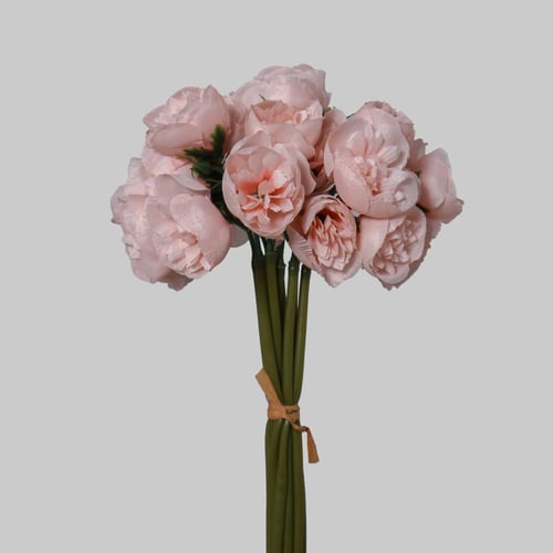 بيبي بيوني وردي