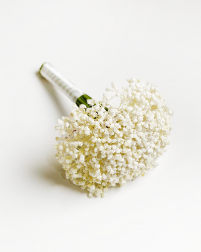 ورد جيبسوفيليا ابيض