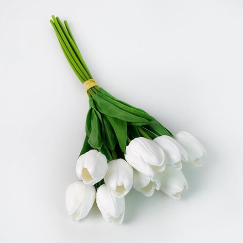 ورد توليب ابيض