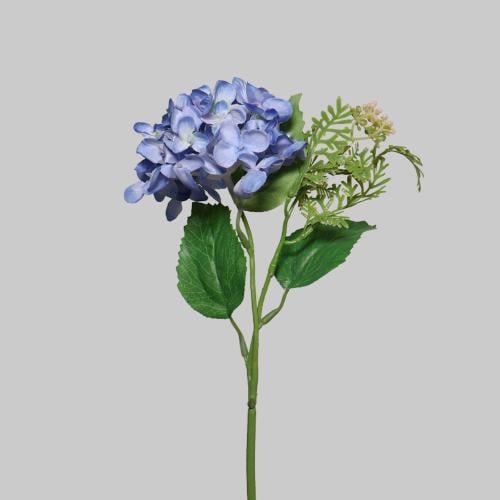 هيدرنجا صغير ازرق