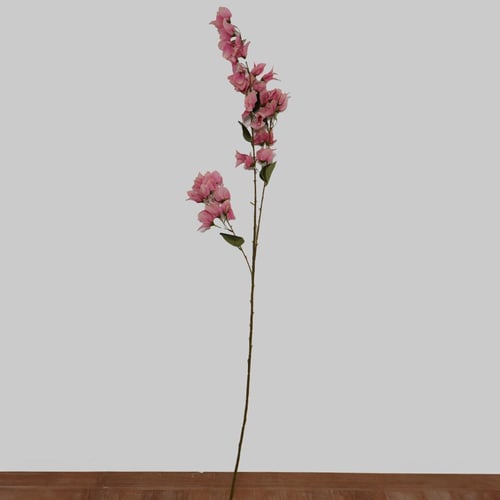 غصن الربيع موف