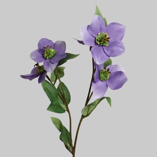 غصن بزهور موف