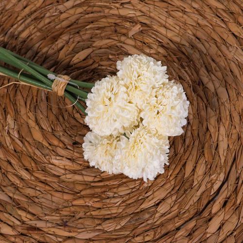 ورد هندباء ابيض