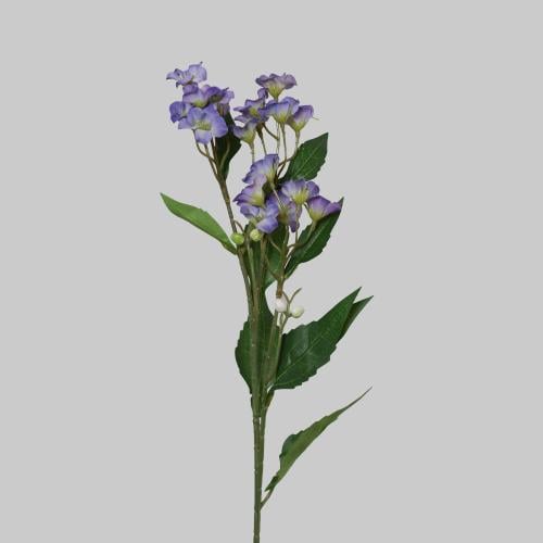 غصن بنتاس ازرق