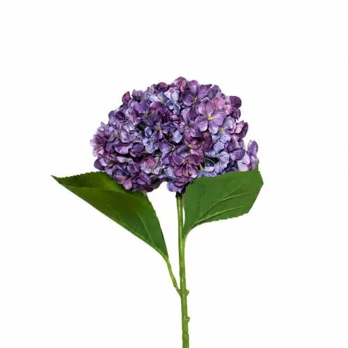 غصن هيدرنجا موف