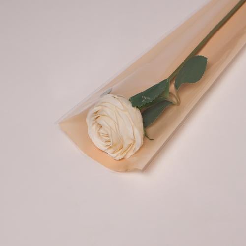 حامل ورد مفرد خربزي (50 حبة)