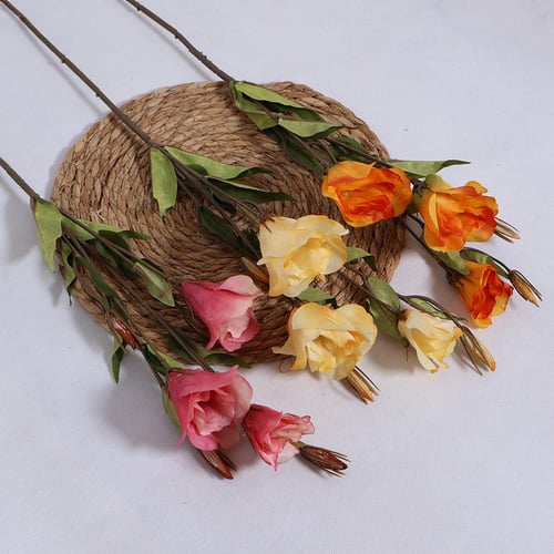 غصن ليزيانثس وردي