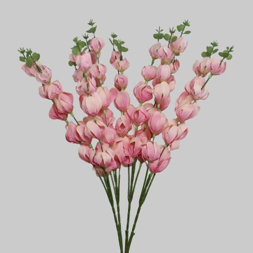 زهور الفيزاليس وردي