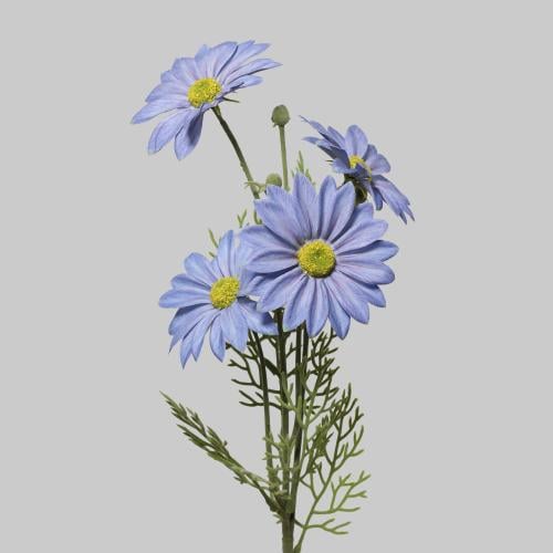 غصن ديزي ازرق