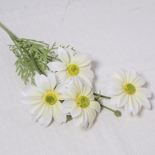 غصن ديزي ابيض