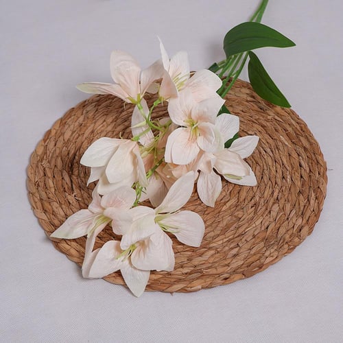 غصن الستروميريا سكري