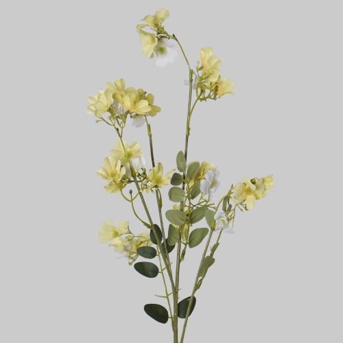 غصن بزهور اصفر