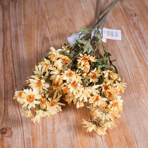 غصن ديزي اصفر