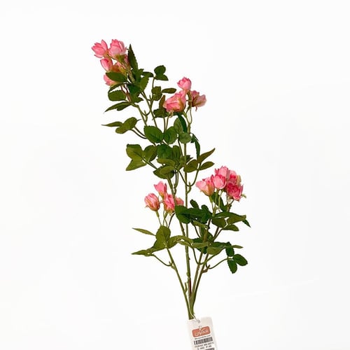 غصن ورد وردي