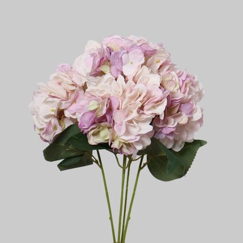 هيدرنجا موف فاتح