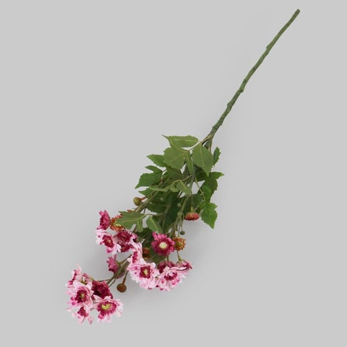 غصن الكريز موف