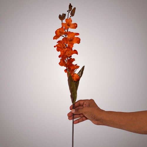 غصن ليلي اصفر