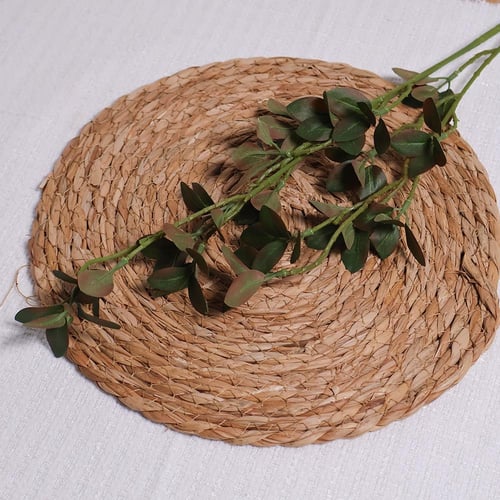 غصن باوراق شجر غامق