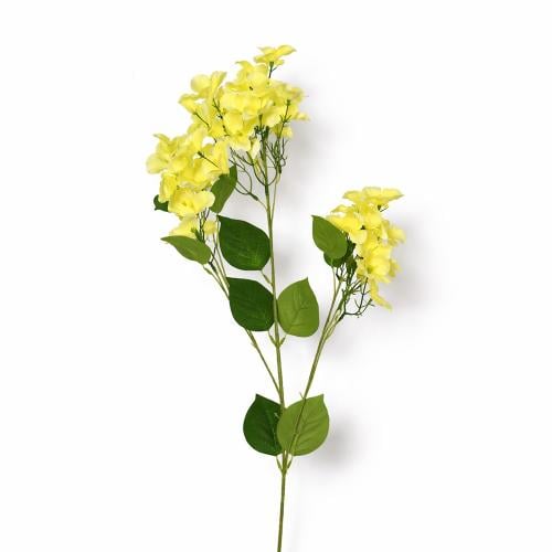 غصن زهور اصفر