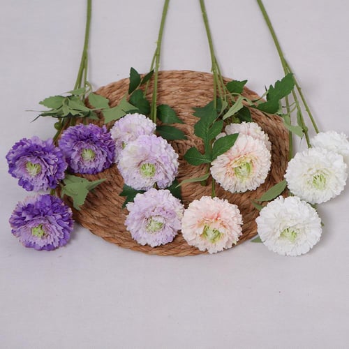 غصن البومبون ابيض