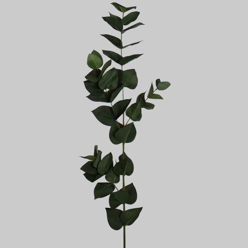 غصن خضار ثلجي