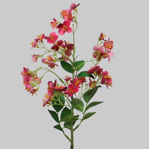 غصن زهور فوشي