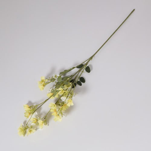 غصن بزهور اصفر