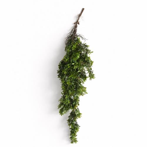 غصن شجري