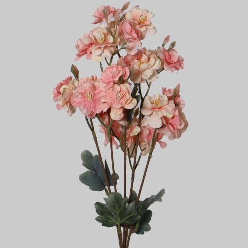 شيري بلوسم خربزي