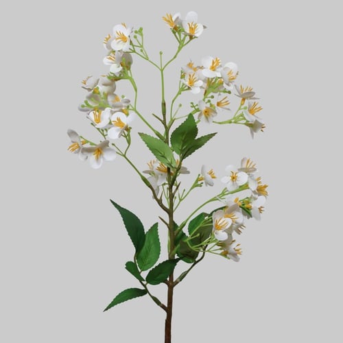 غصن زهور ابيض