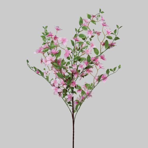 غصن الجهنمية كبير موف