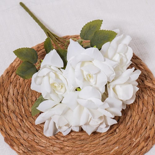 جوري مفتوح ابيض