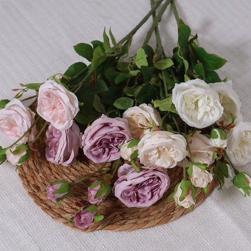 غصن بيوني موف