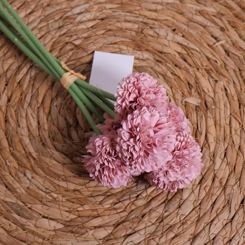 ورد هندباء موف