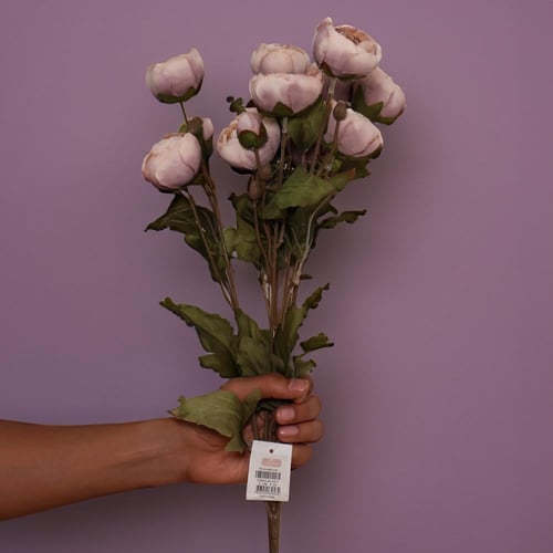 بنش بيوني تيفاني