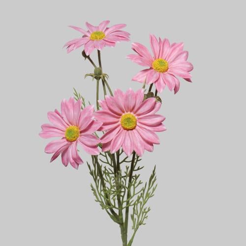 غصن ديزي وردي فاتح