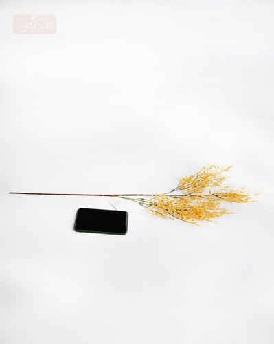 غصن لافندر اصفر