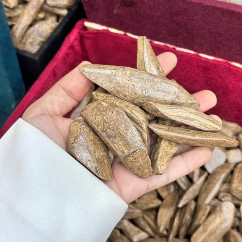 عود مروكي دبل سوبر