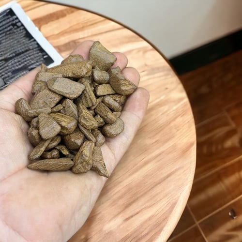 عود دقة مروكي البيت