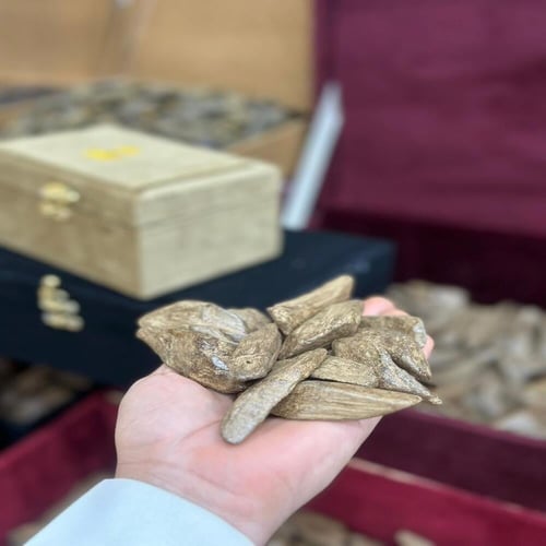 عود مروكي دبل سوبر