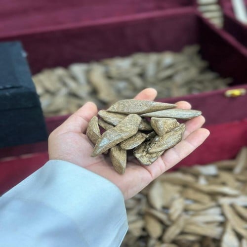 عود مروكي دبل سوبر