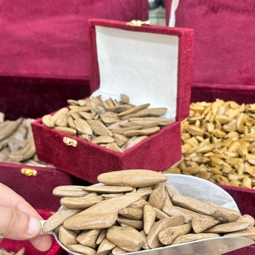 عود مروكي الشيخ