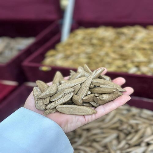 عود مروكي الشيخ