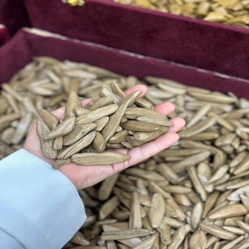 عود مروكي الشيخ