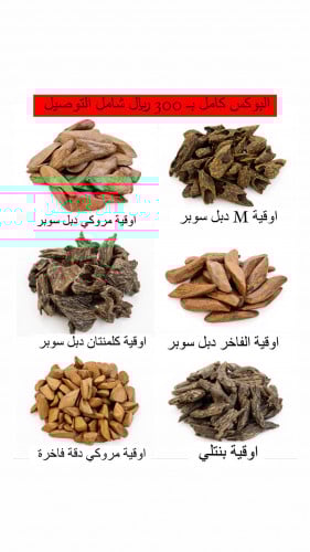 بوكس بحجم XL