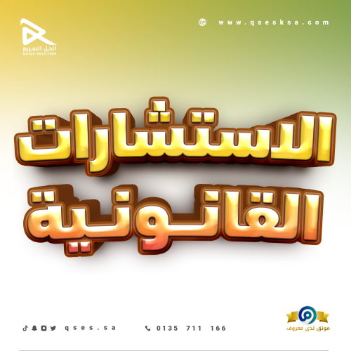 استشارة خاصة في الخدمات الحكومية