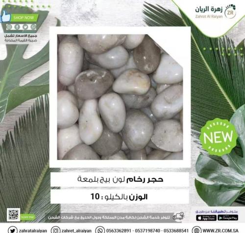 حجر زينة صغير بدون لمعة 10 كيلو – أبيض