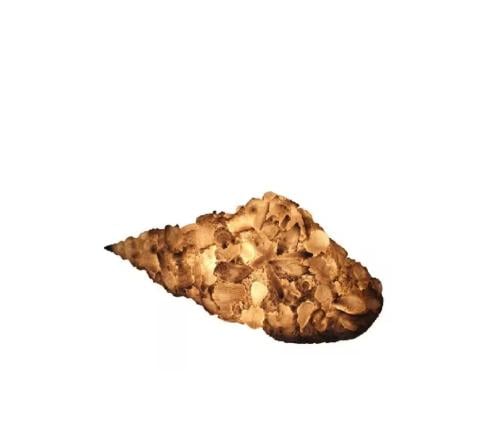 اضاءة علي شكل صدف البحر تعمل علي الكهرباء