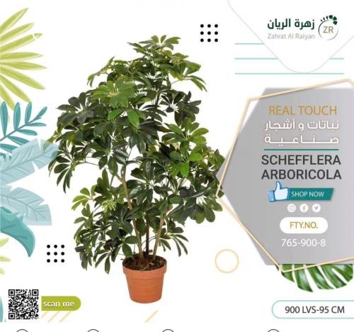 شجيرة شفليرا أربوريكولا الصناعي ارتفاع 95 سم